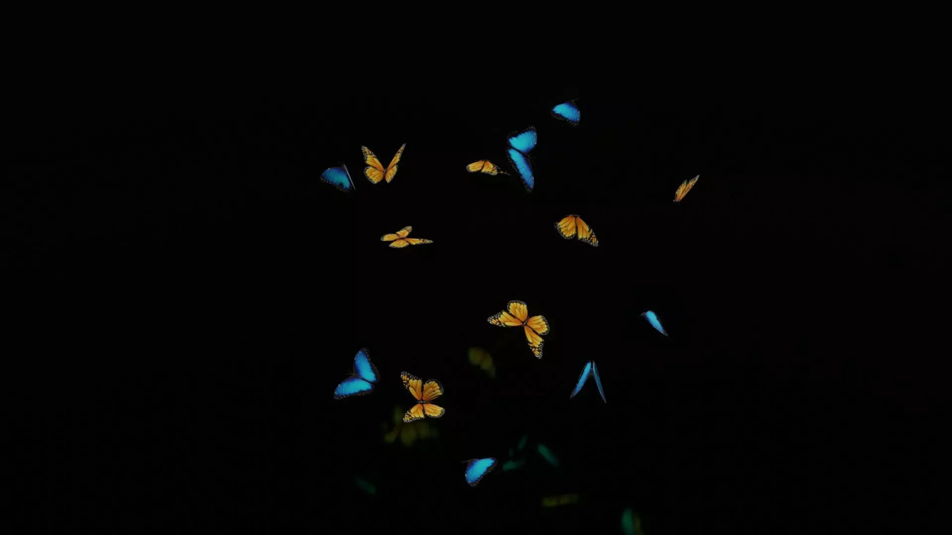 butterflies monarch butterfly Low-poly 3D model_0