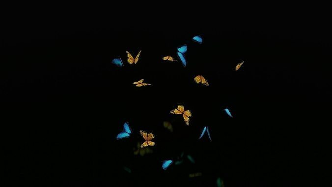 butterflies monarch butterfly Low-poly 3D model