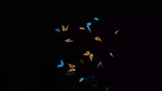 butterflies monarch butterfly Low-poly 3D model