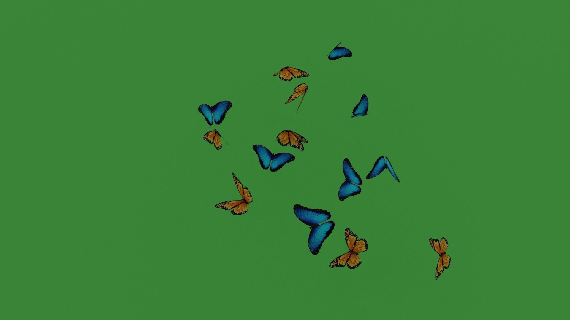 butterflies monarch butterfly Low-poly 3D model_5