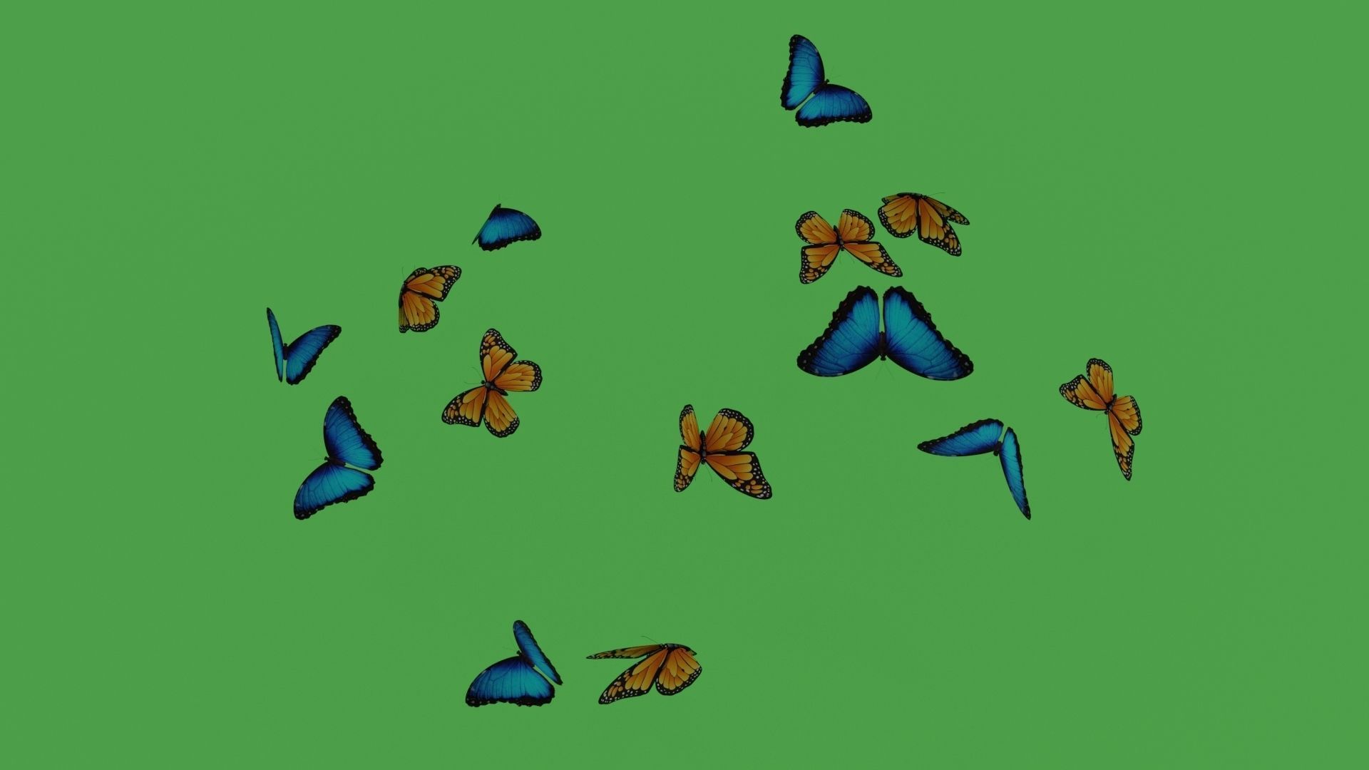 butterflies monarch butterfly Low-poly 3D model_8