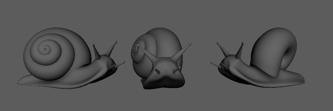snail 3D model_2