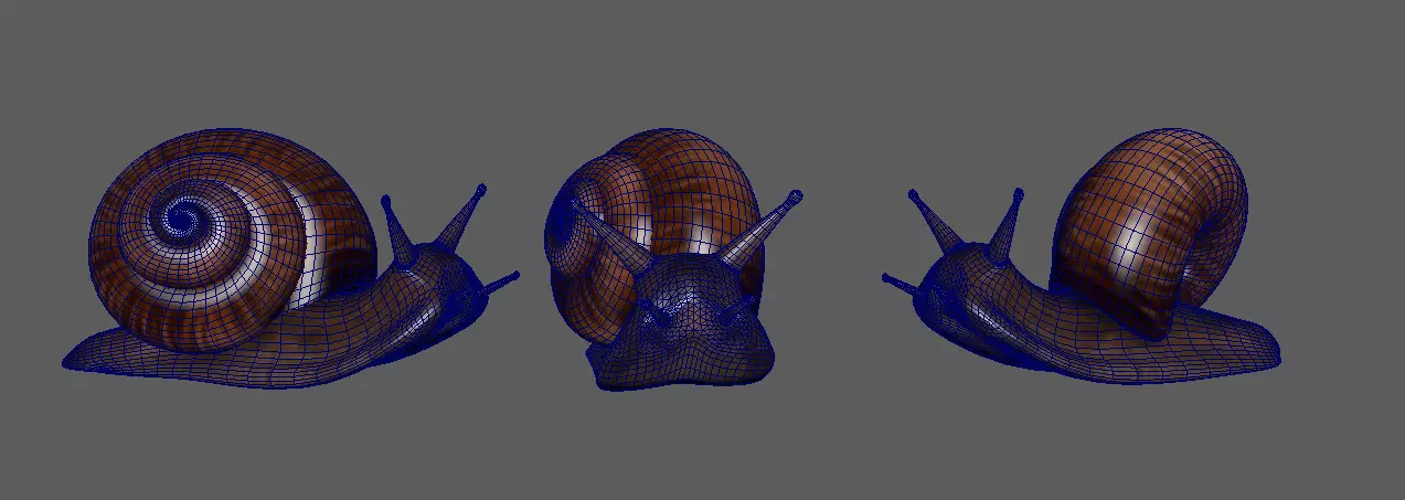 snail 3D model_0
