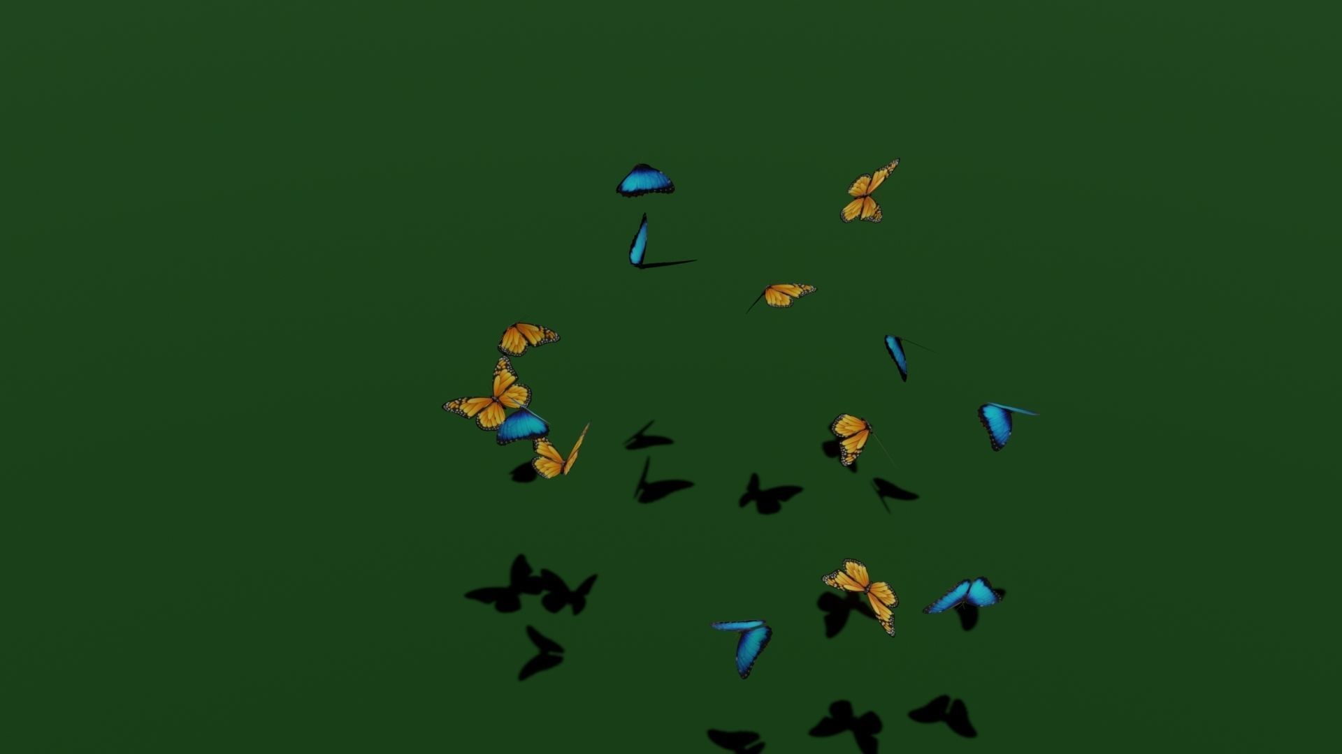 butterflies animation Low-poly 3D model_8