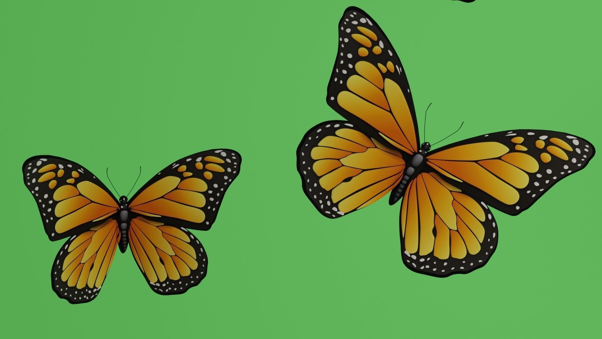 butterflies animation Low-poly 3D model_7