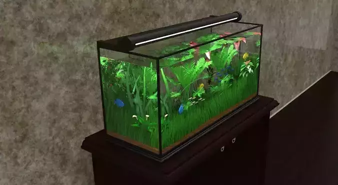 Plant Aquarium