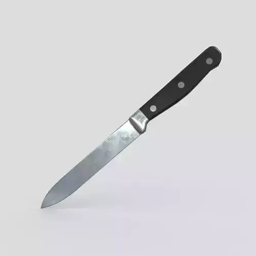 Kitchen Knife 6 