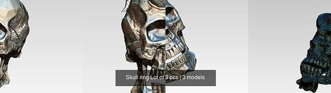 Skull ring Lot of 3 pcs 3D Model Collection