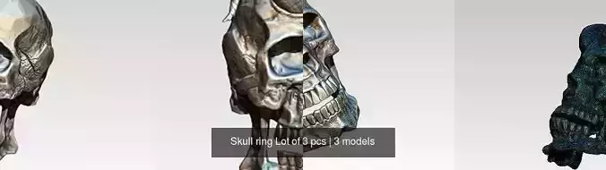 Skull ring Lot of 3 pcs