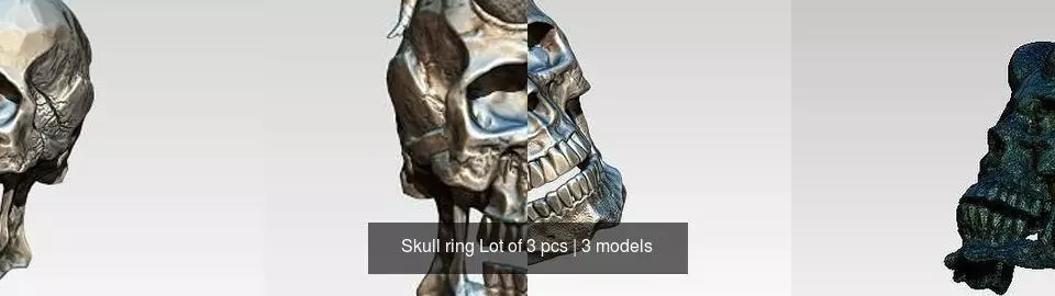 Skull ring Lot of 3 pcs 3D Model Collection_0