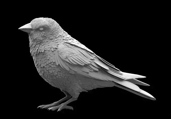 bird 01 3D print model