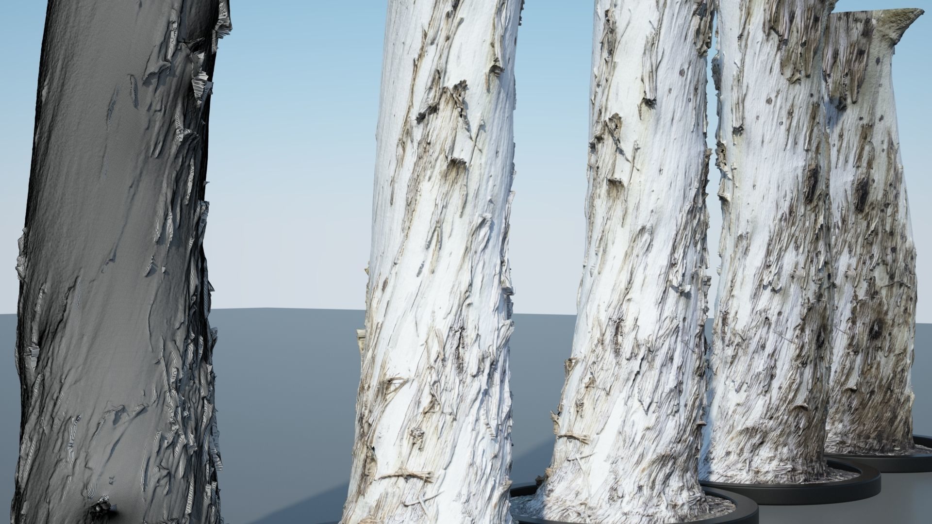 Ultra Realistic Tree 3D model_3