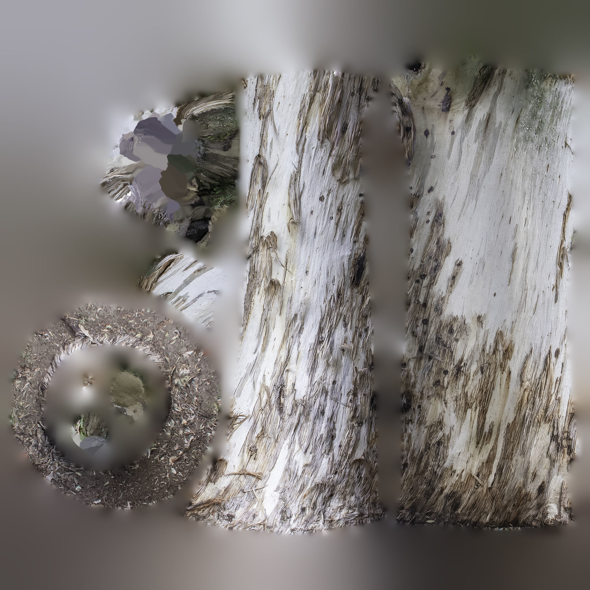 Ultra Realistic Tree 3D model_9