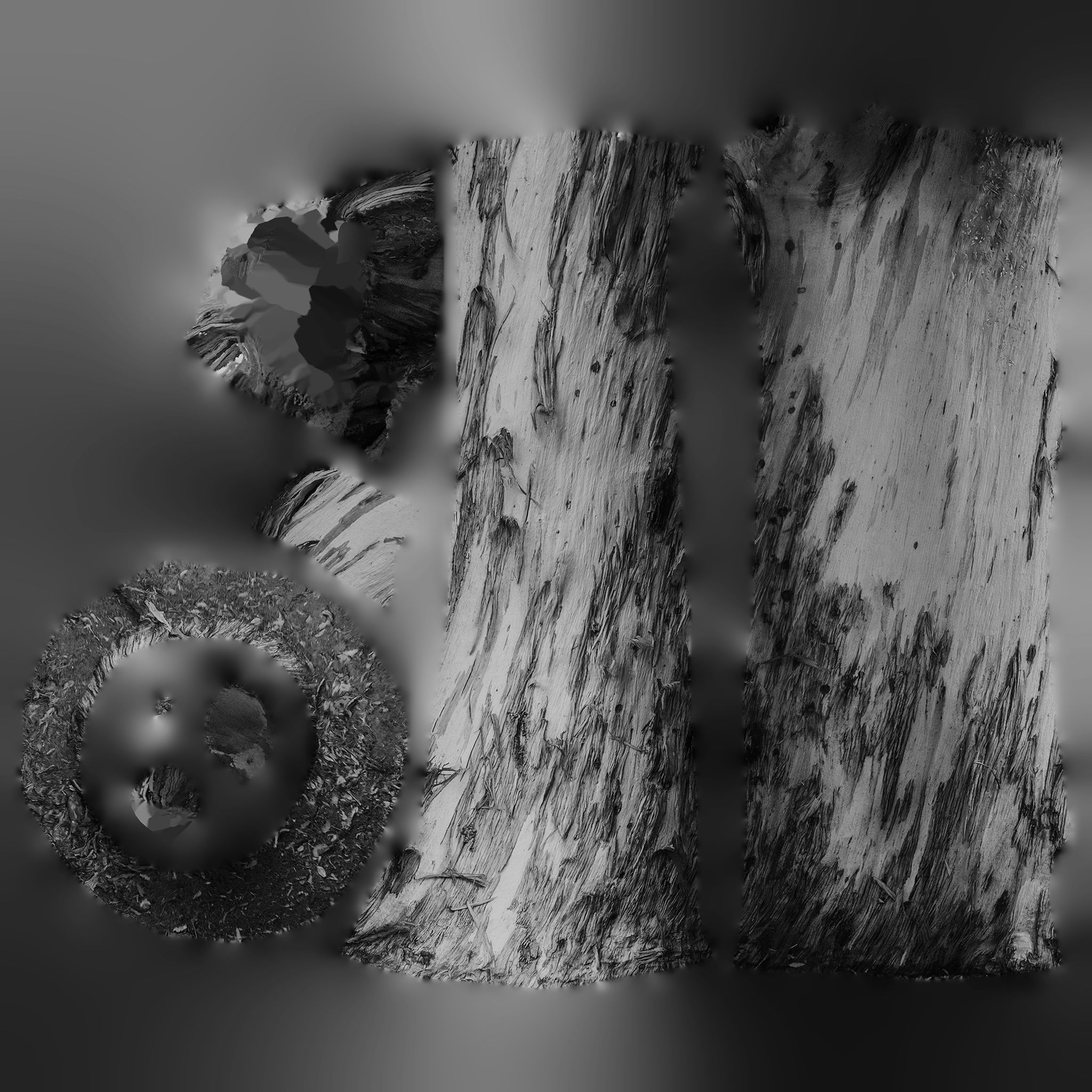 Ultra Realistic Tree 3D model_10