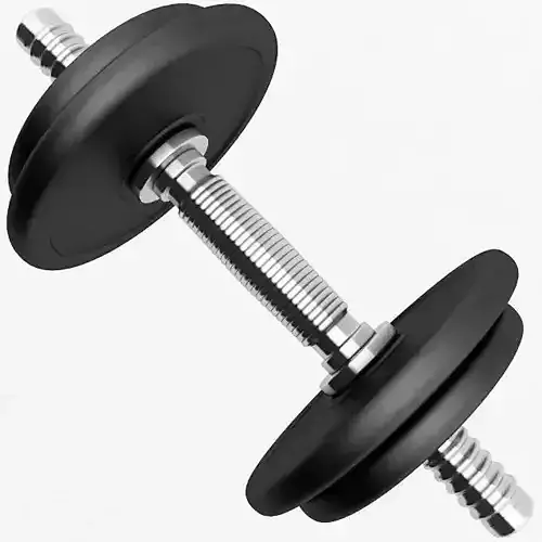 Dumbbell pair of dumbbells 3D model