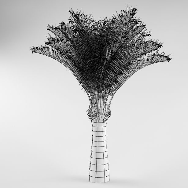 Palm tree 04 3D model_4