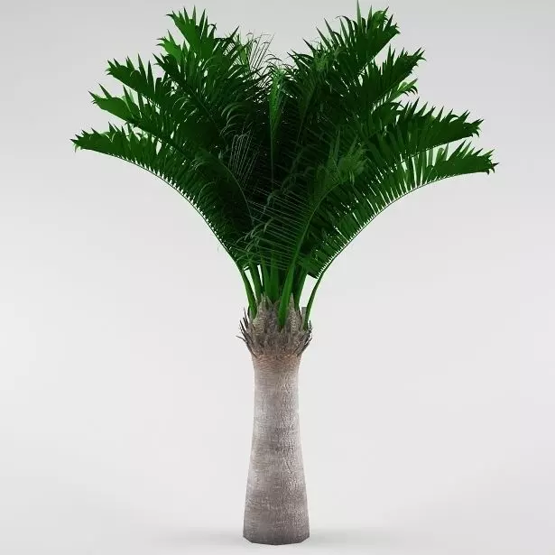 Palm tree 04 3D model_0