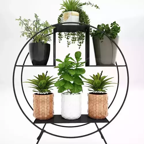 Realistic plants in pots 