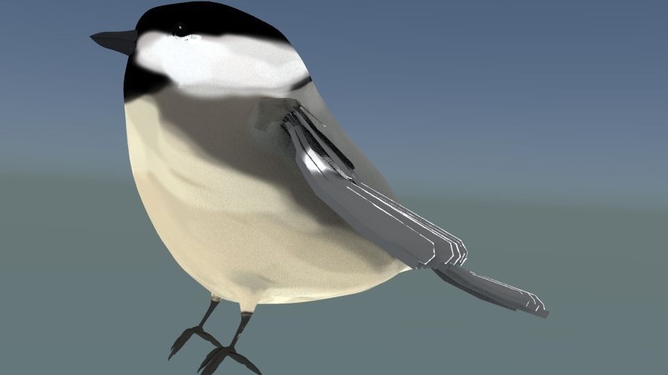 Black-capped chickadee  Low-poly 3D model_1