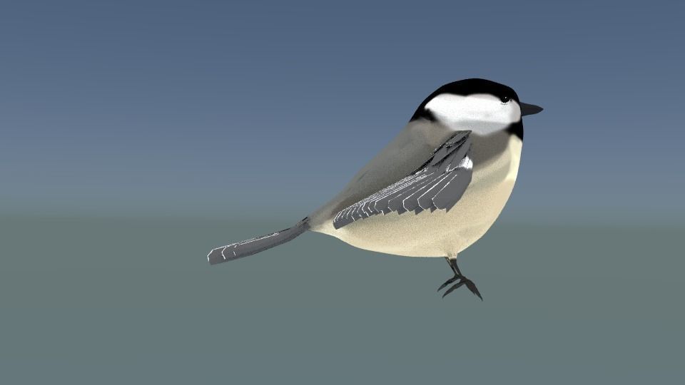  Black-capped chickadee  Low-poly 3D model_2