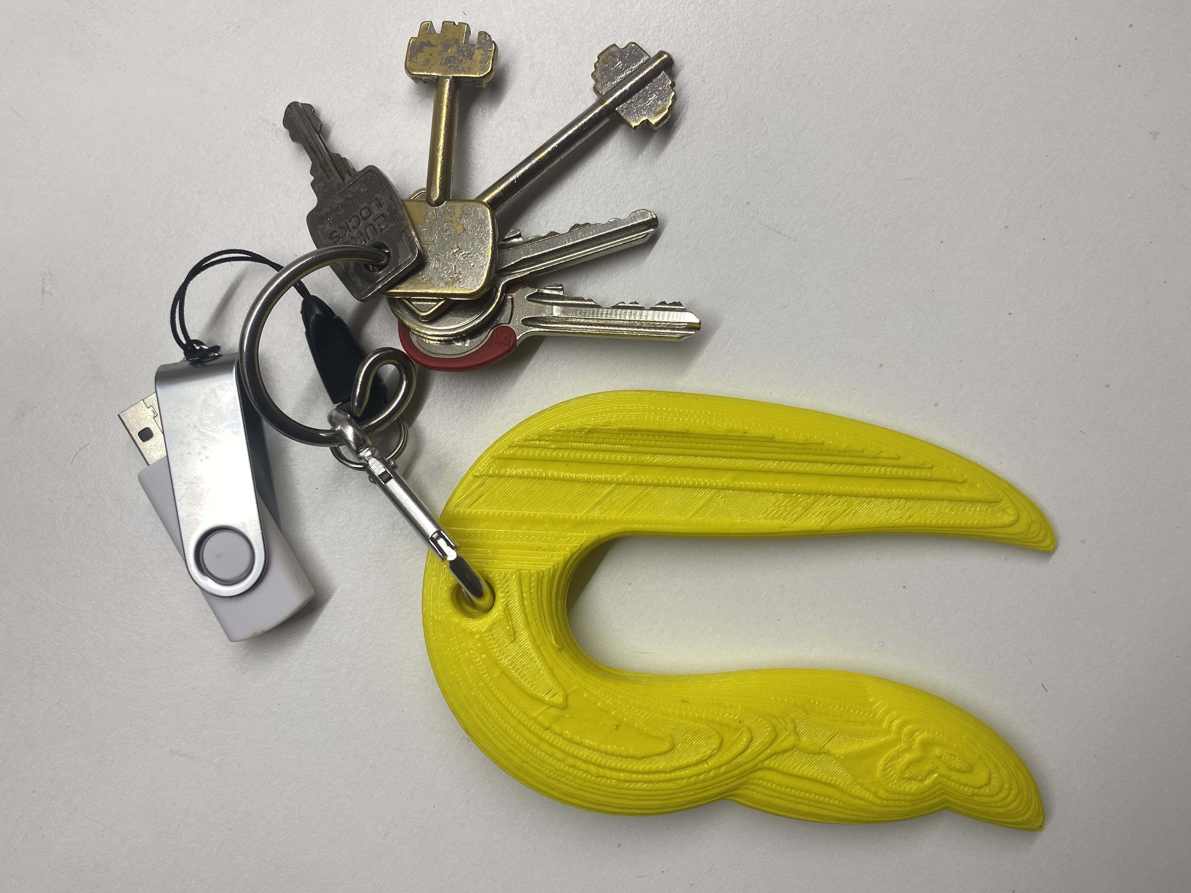 Toucan savegrabber Free 3D print model_10