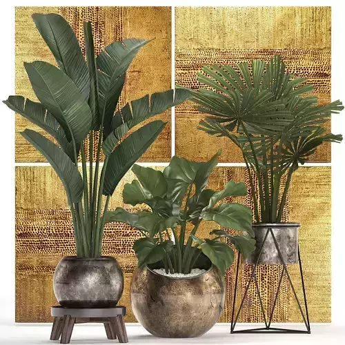 Decorative plants in flower pots for the interior 466 3D model