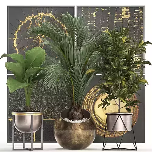 Decorative plants in flower pots for the interior 468