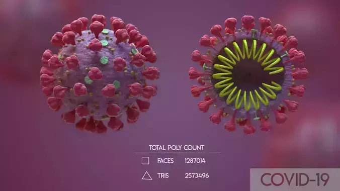 Covid 19 Corona Virus 3D Model  3D model
