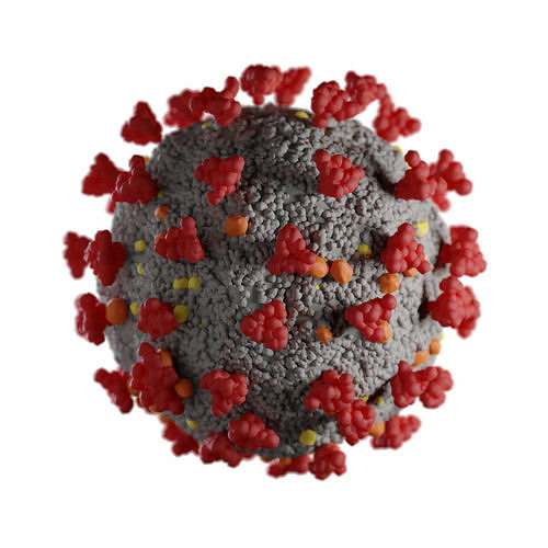 Corona Virus 3D model