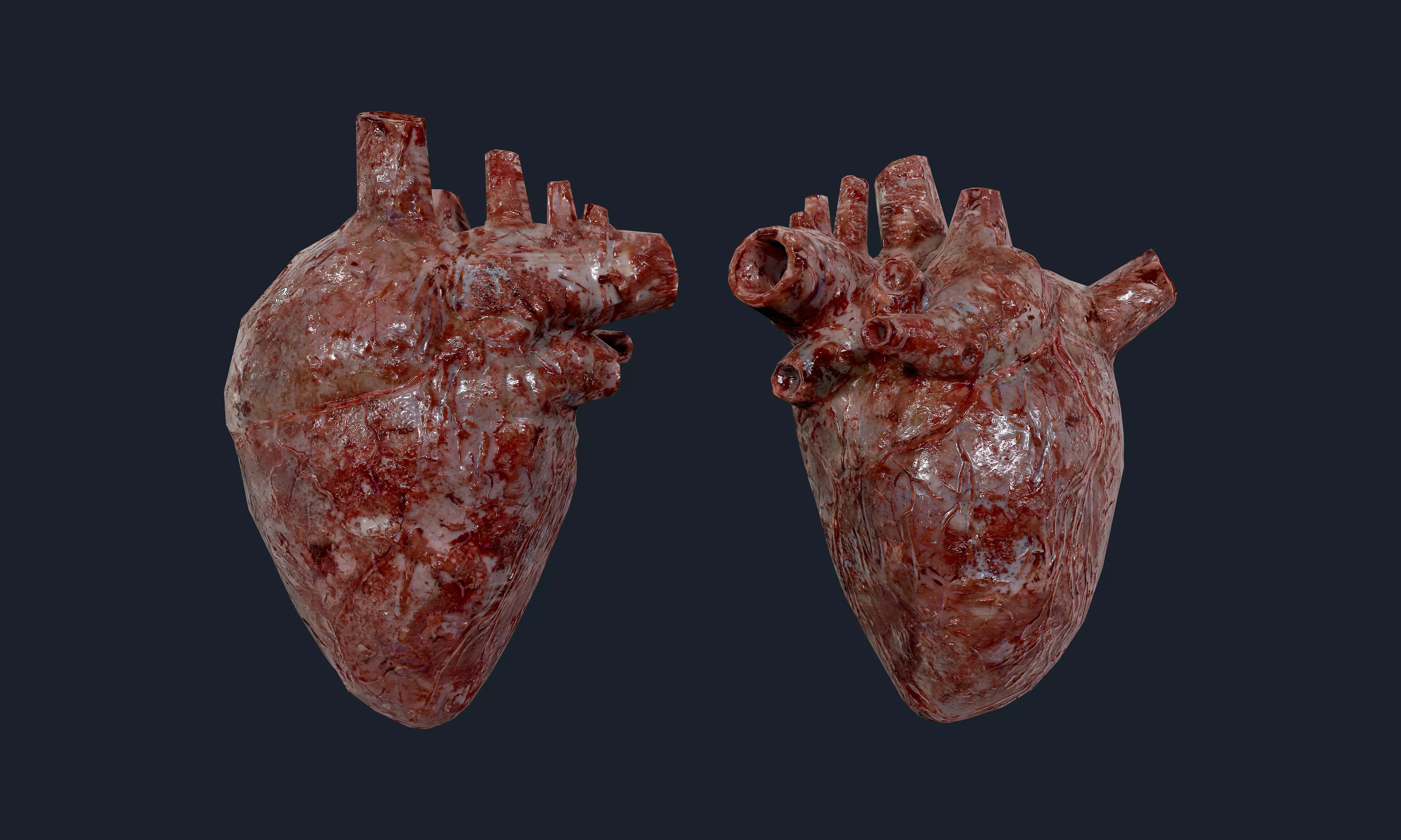 Heart Human Organ Game Ready 01 Low-poly 3D model_0