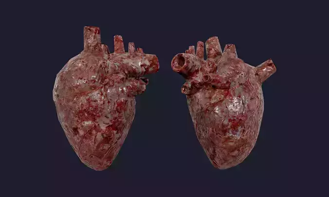 Heart Human Organ Game Ready 01 Low-poly 3D model