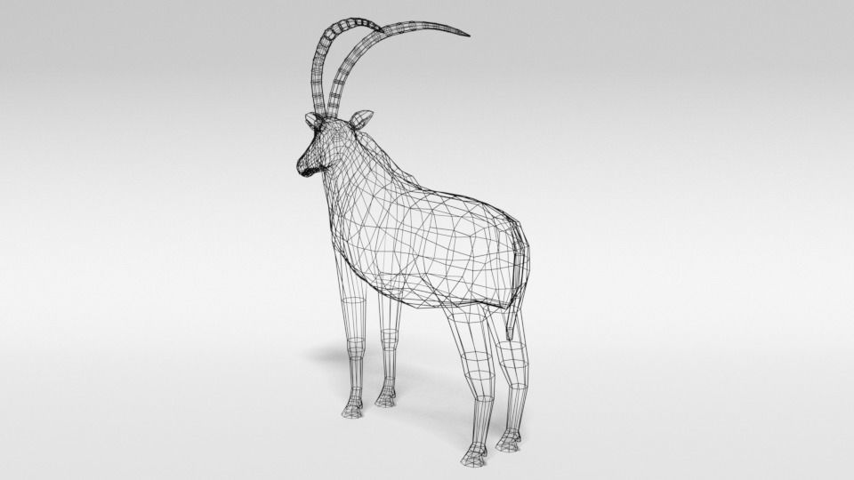 Low Poly Cartoon Sable Antelope Low-poly 3D model_11