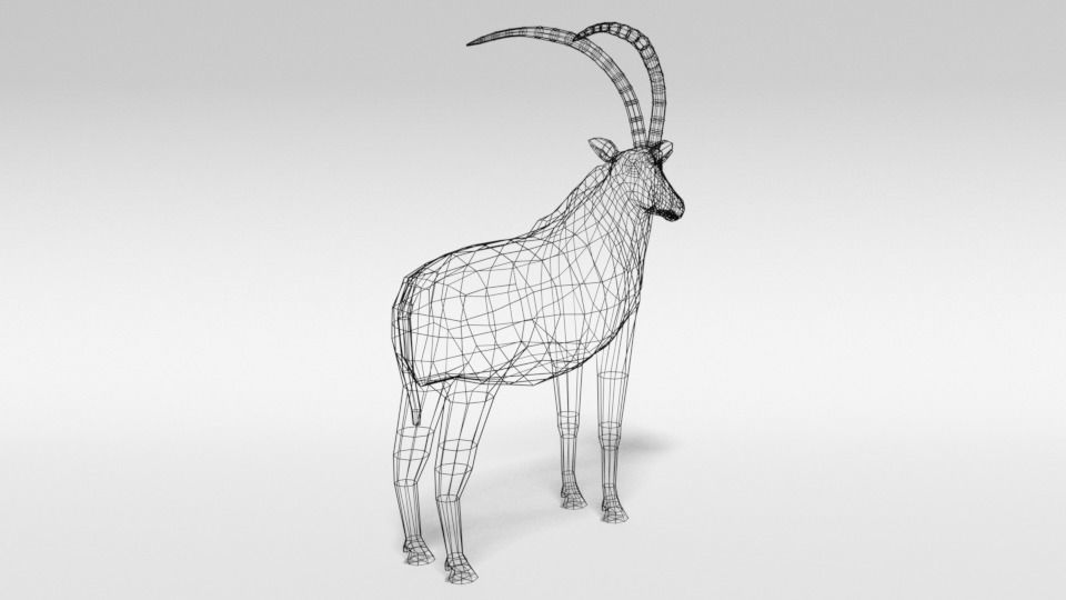 Low Poly Cartoon Sable Antelope Low-poly 3D model_13