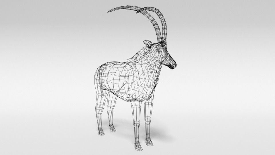 Low Poly Cartoon Sable Antelope Low-poly 3D model_15