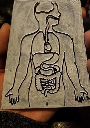 Anatomy Basics 101 3D print model