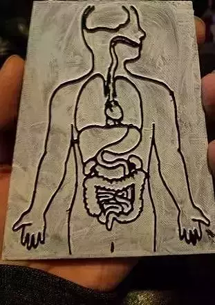 Anatomy Basics 101 3D print model