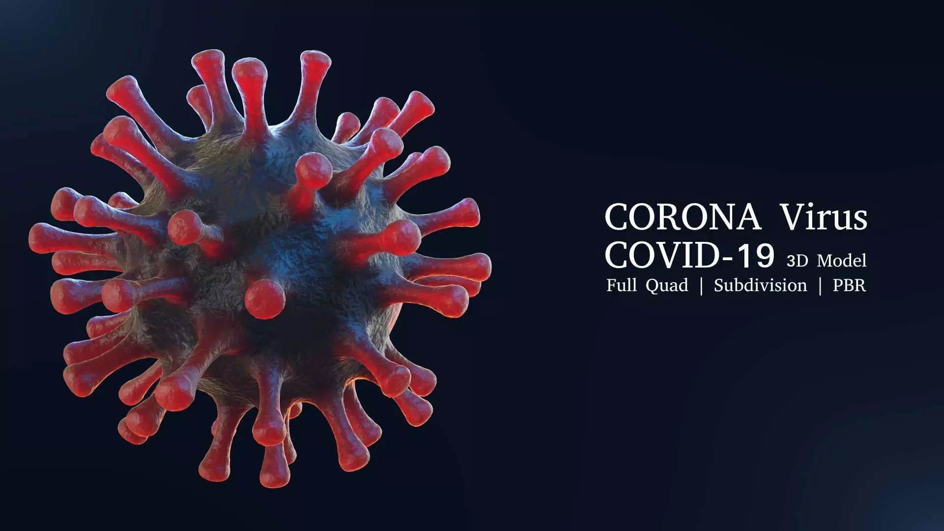 Coronavirus Covid-19 Virus 3D model