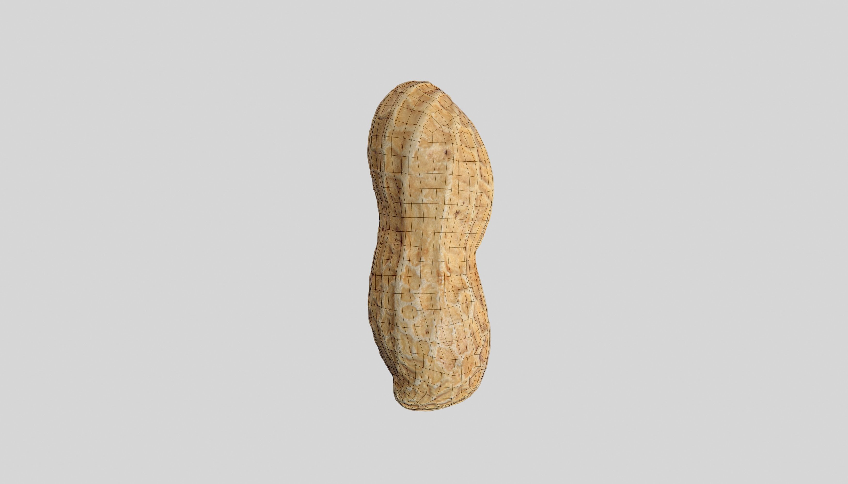Peanut 3D Photoscan Low-poly 3D model_5