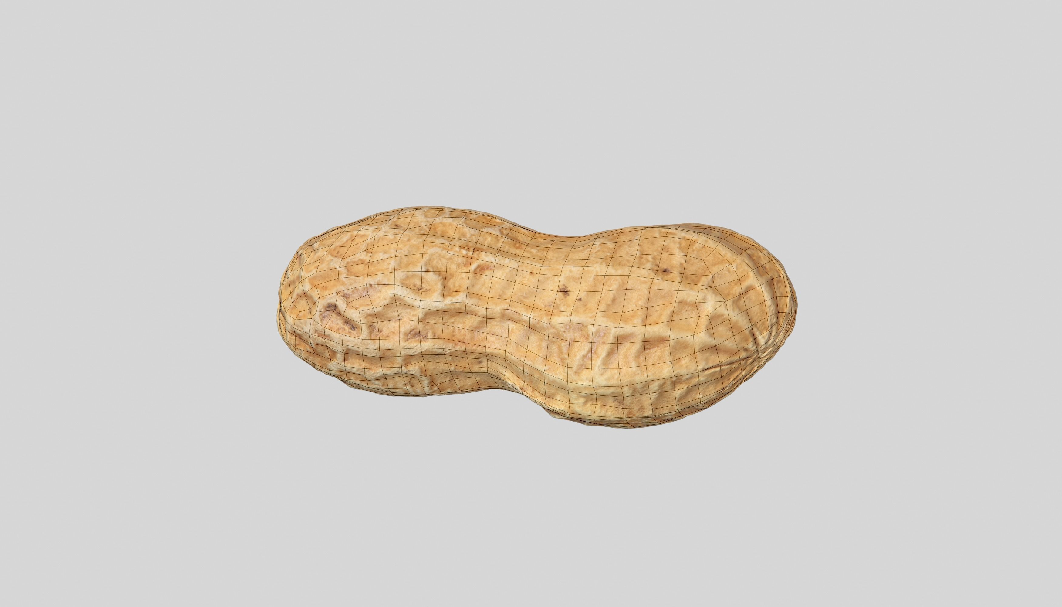 Peanut 3D Photoscan Low-poly 3D model_6