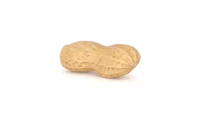 Peanut 3D Photoscan Low-poly 3D model