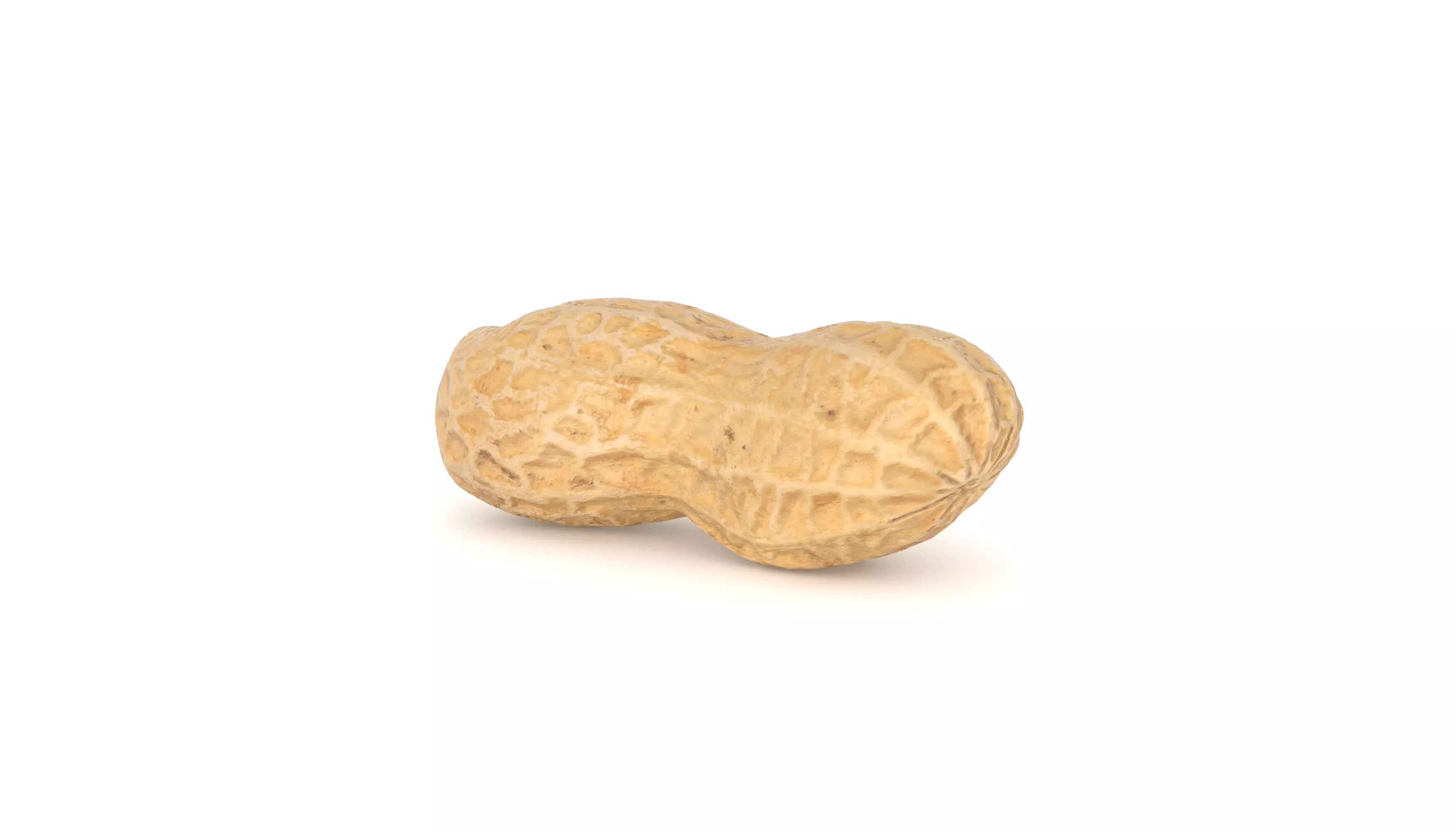 Peanut 3D Photoscan Low-poly 3D model_0