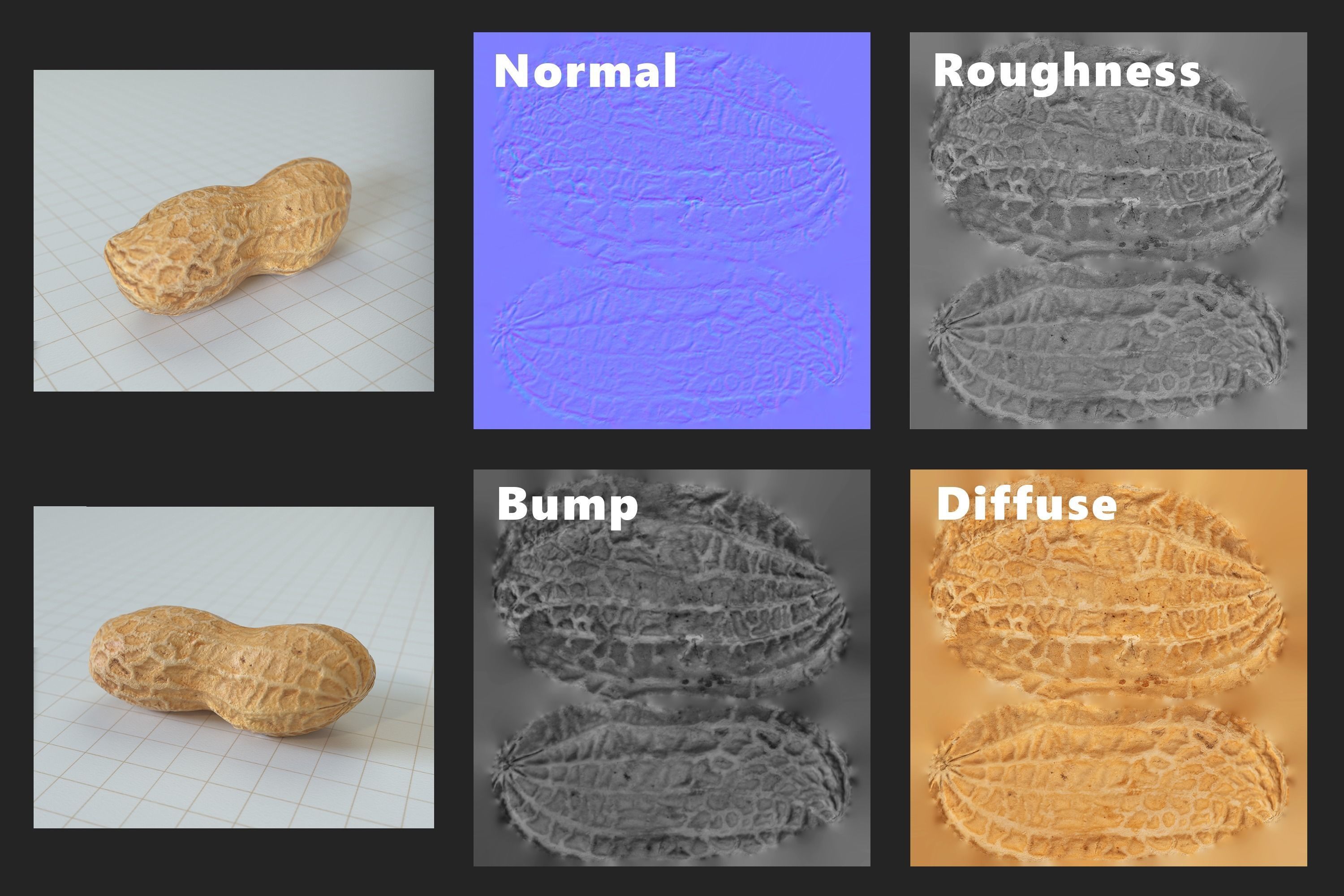 Peanut 3D Photoscan Low-poly 3D model_7