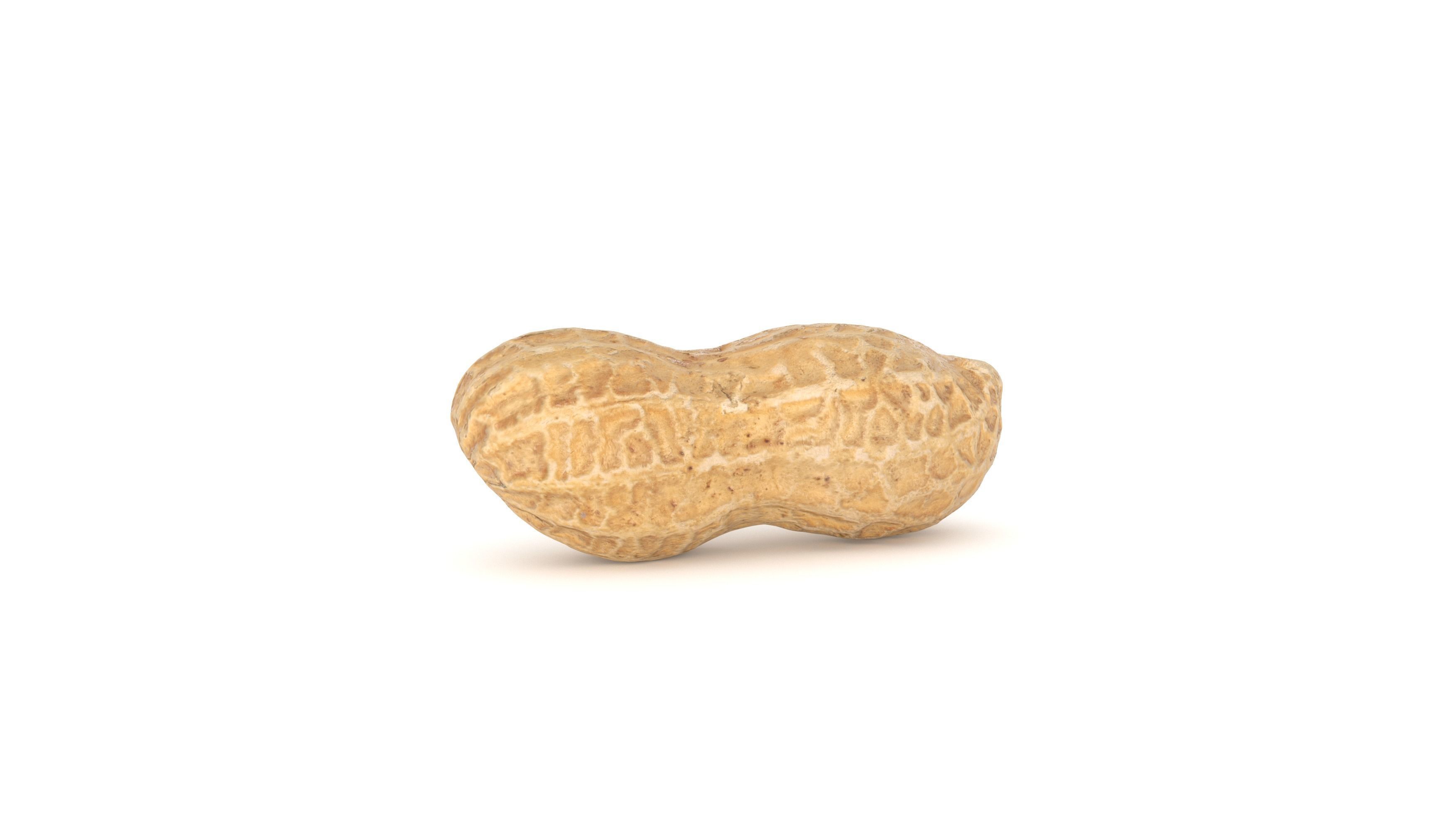 Peanut 3D Photoscan Low-poly 3D model_1