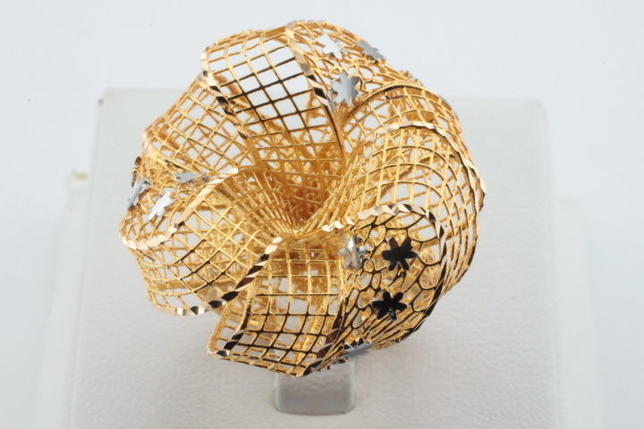 ring fusion 3D print model_61