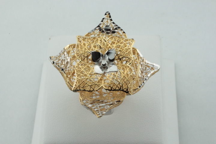 ring fusion 3D print model_6