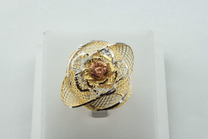 ring fusion 3D print model_4