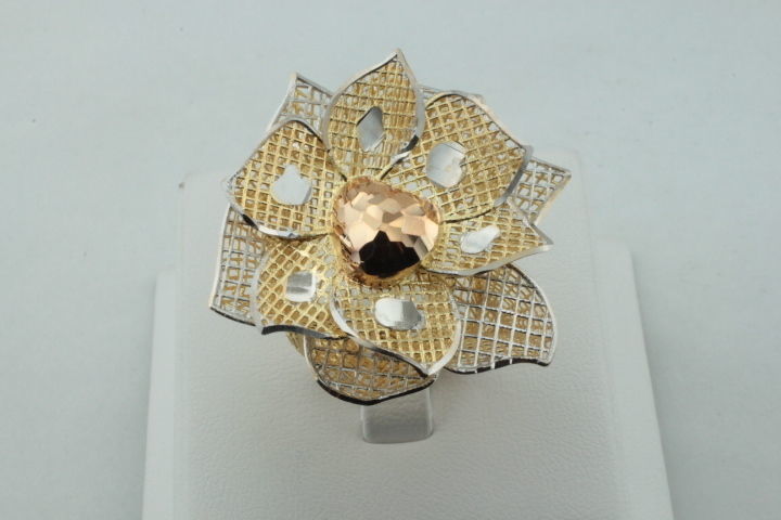 ring fusion 3D print model_9