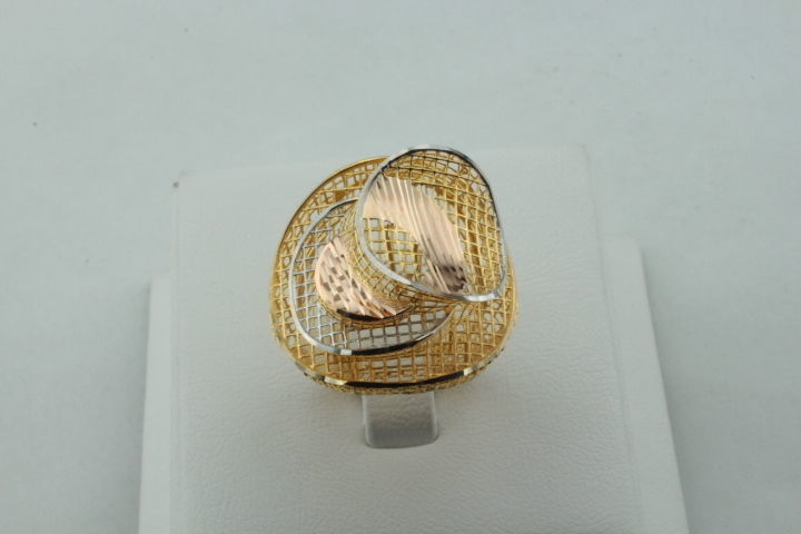 ring fusion 3D print model_1