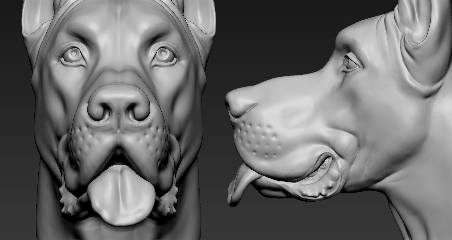 Grand Dane 3D print model_10