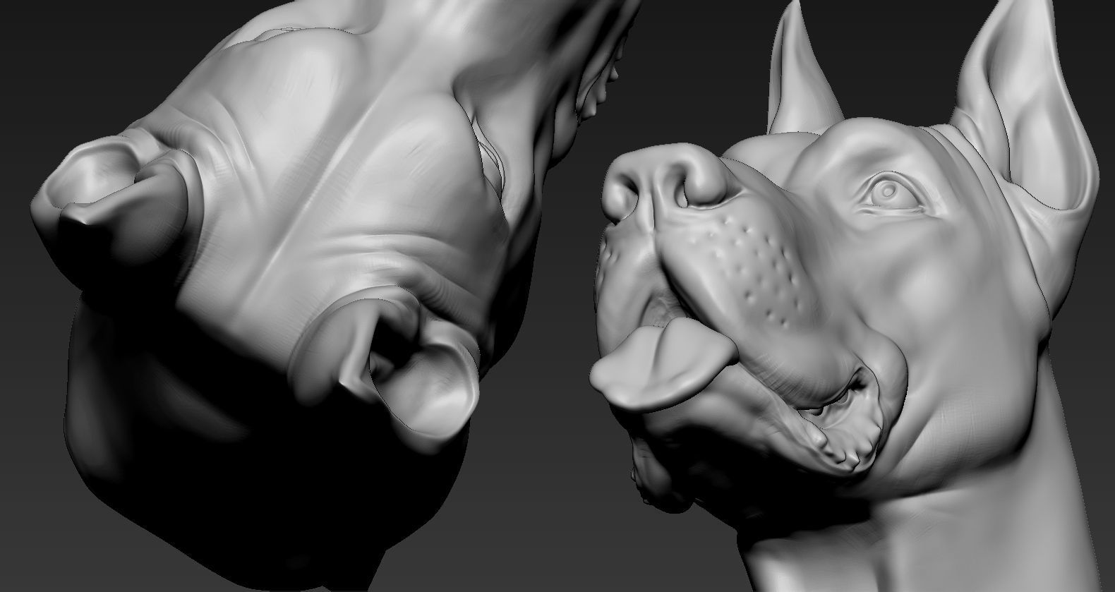 Grand Dane 3D print model_12